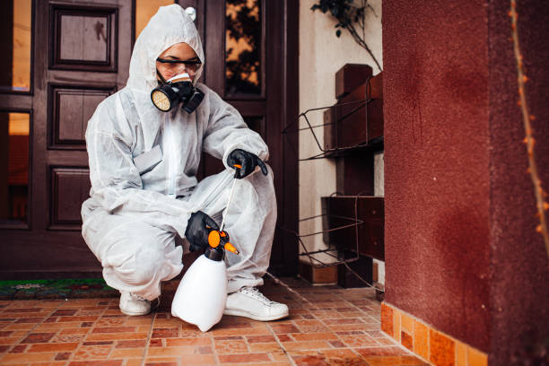 Reliable Mosquito Control contractor in Tamiami, FL by Show Me Pest Control